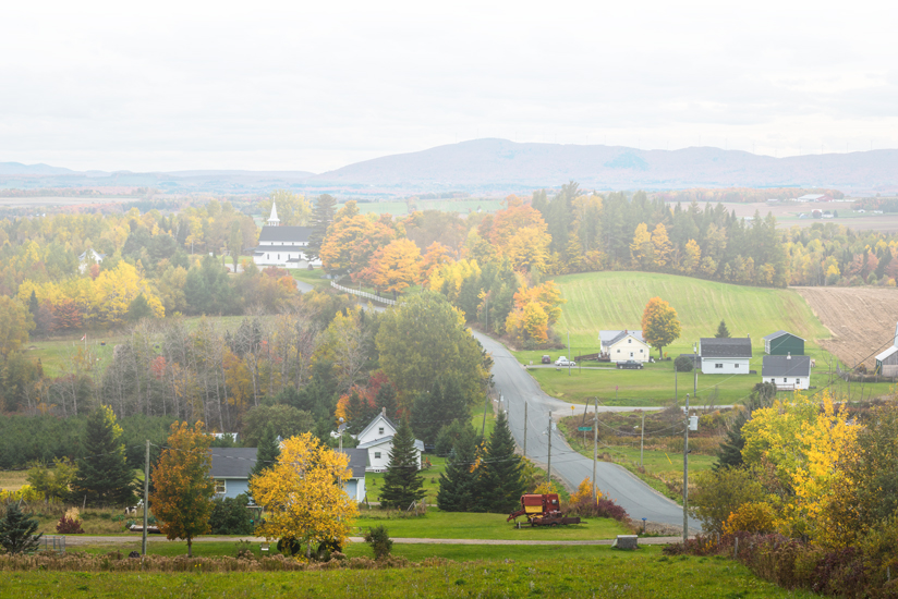 Picture of fall in New Brunswick