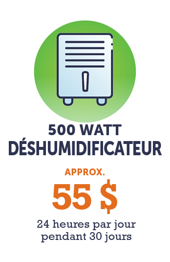 Graphique - Déshumidificateur de 500 watts (environ 55 $ - 24 heures par jour pendant 30 jours)
