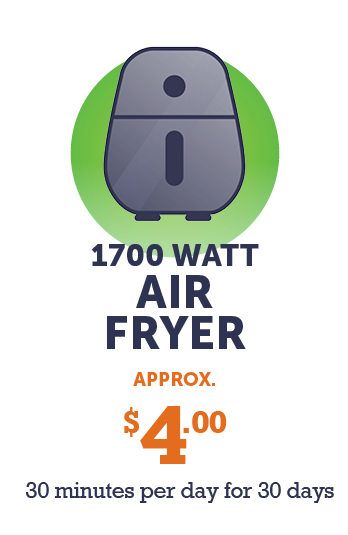 Graphic - 1700 watt Air Fryer (approx. $4 - 30 minutes per day for 30 days)